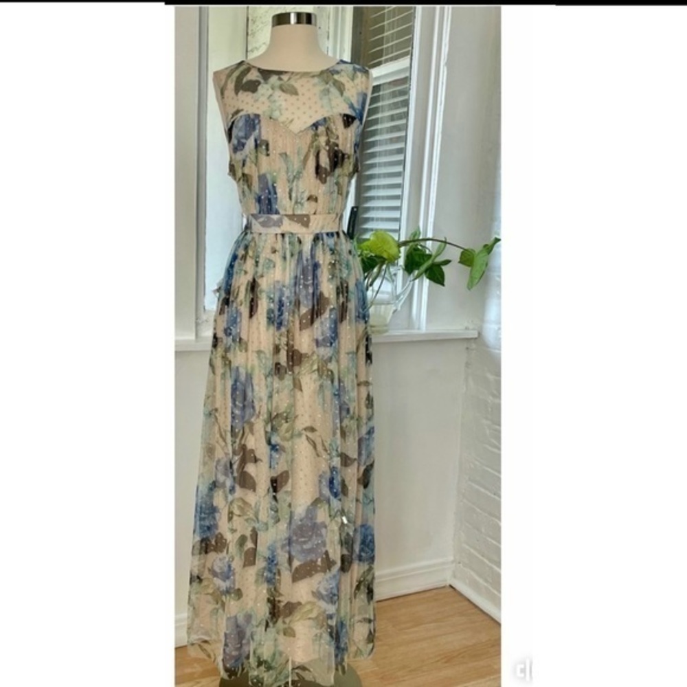 Floral sheer mesh Maxi dress by Candalite